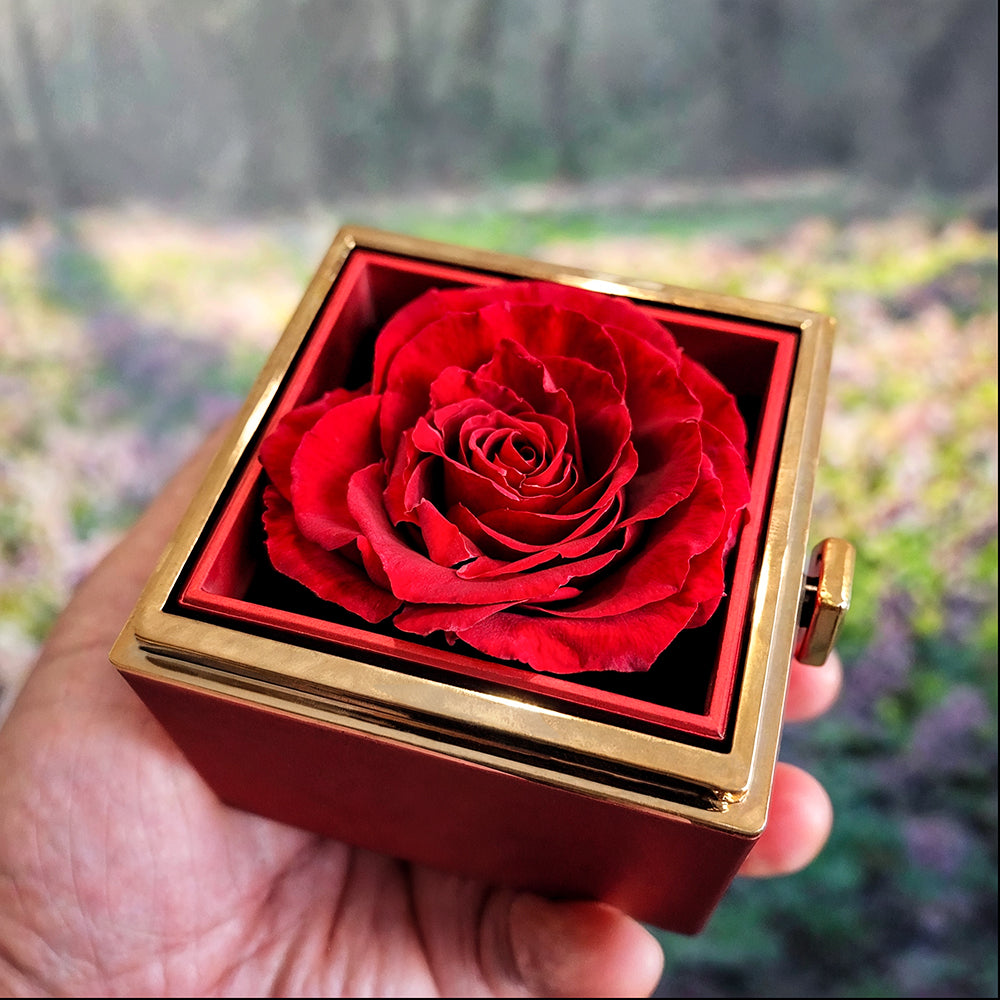 "Dear Mom" Necklace in Luxurious Gift Box with Preserved Red Rose.