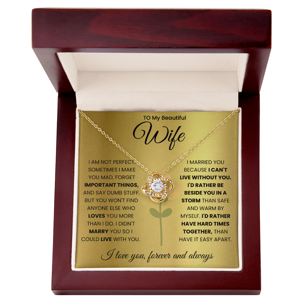 To My Beautiful Wife Necklace.