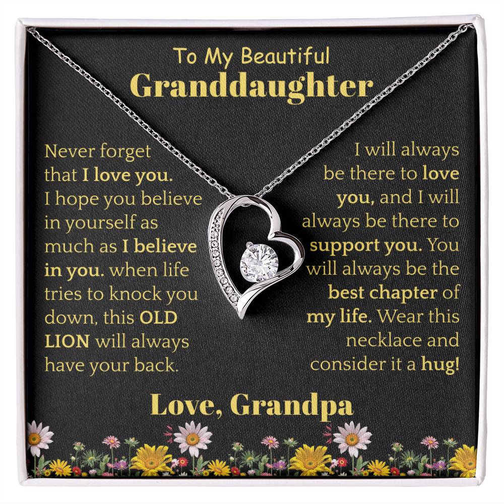 To My Beautiful Granddaughter Necklace from Grandpa.