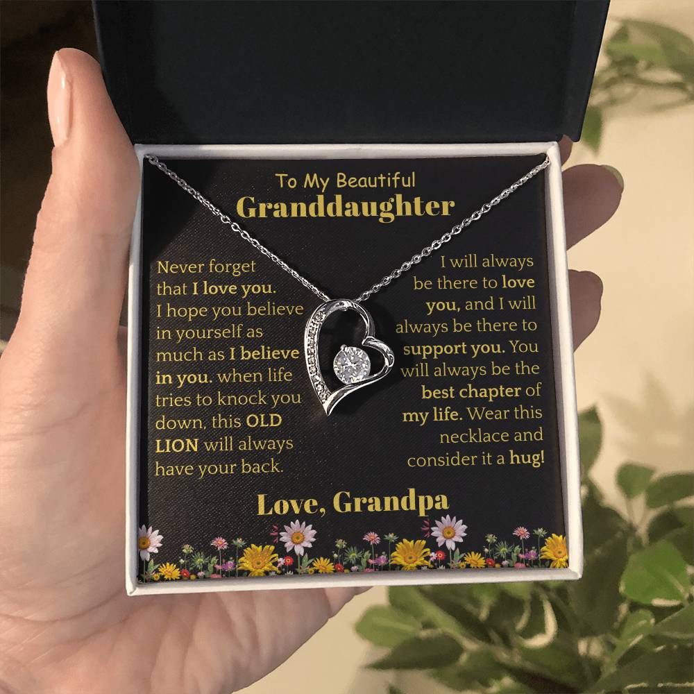 To My Beautiful Granddaughter Necklace from Grandpa.
