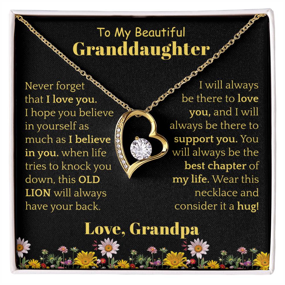 To My Beautiful Granddaughter Necklace from Grandpa.