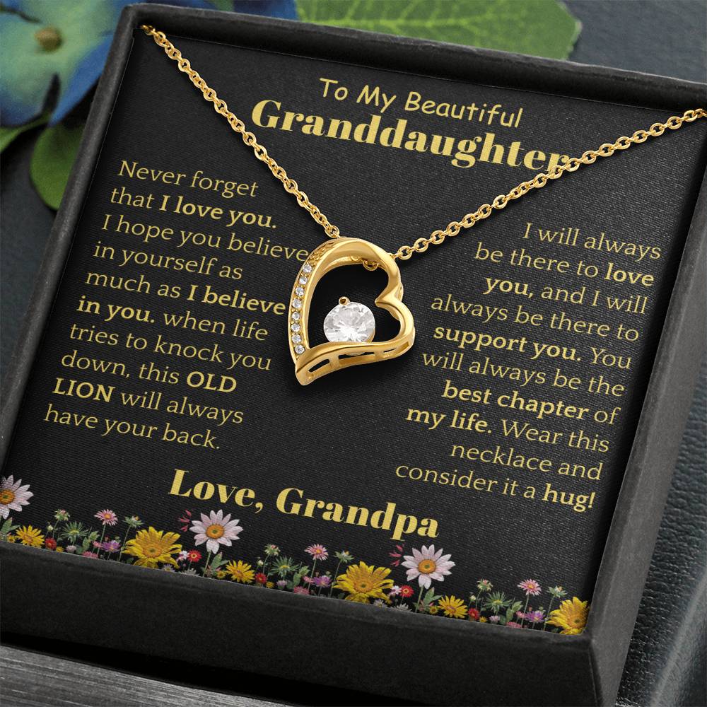 To My Beautiful Granddaughter Necklace from Grandpa.