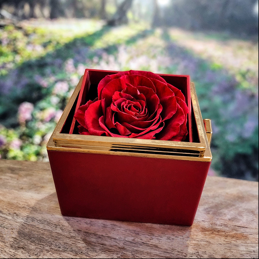 "Dear Mom" Necklace in Luxurious Gift Box with Preserved Red Rose.